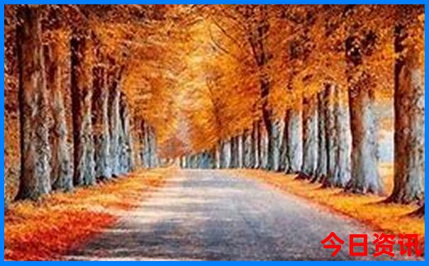 重庆旅游景点必去十大景点